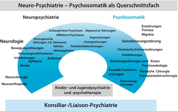 Psychiatrie Psychosomatik Psychotherapie Bedeutung Identitat Situation Und Perspektiven Eines Grossen Medizinischen Fachgebietes Springerlink