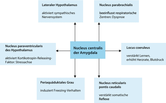 Angststorungen Springerlink Angststorungen Springerlink