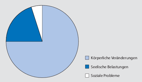 Beschreibung Der Problembereiche Springerlink - 