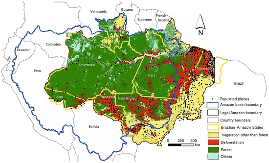 Land Use, Land Cover and Land Use Change in the Brazilian Amazon  (1960–2013) | SpringerLink