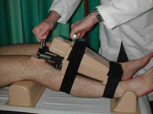 Instrumented Static Laxity Evaluation Springerlink