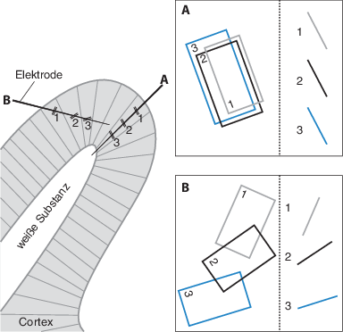 Wahrnehmung Springerlink