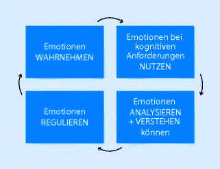 Wie Gehe Ich In Der Fuhrung Mit Emotionen Um Springerlink