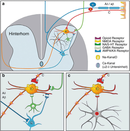 Schmerzentstehung Bildgebung Und Schmerzmessung Springerlink