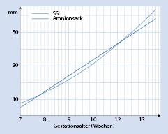 Embryologie Und Fruhschwangerschaft Springerlink
