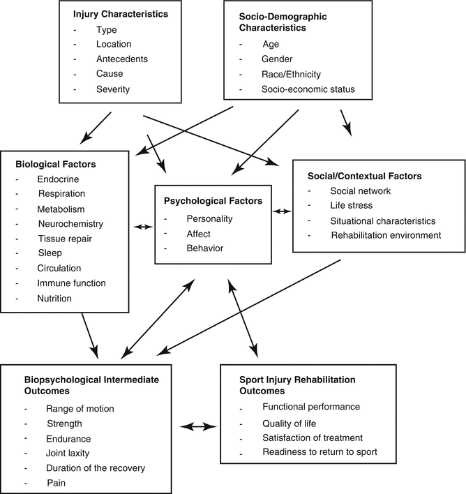 Psychology Help In The Injured Player Springerlink