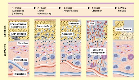Schleimhautveränderungen | SpringerLink