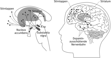 Vom Kapiertrieb Des Menschen Motivation Und Konzentration Aus Sicht Eines Lernforschers Springerlink
