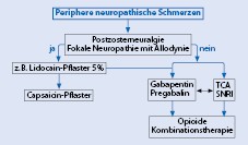 Schmerztherapie nach Diagnose/Lokalisation | SpringerLink