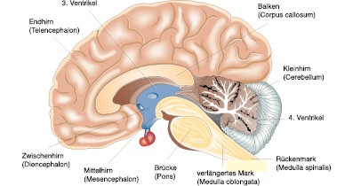 Der Begriff Lernen Im Kontext Des K U R Konzepts Springerlink