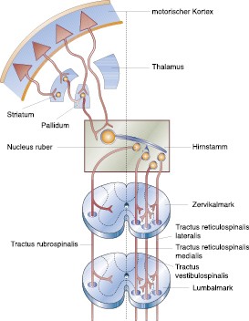 Der Begriff Lernen Im Kontext Des K U R Konzepts Springerlink