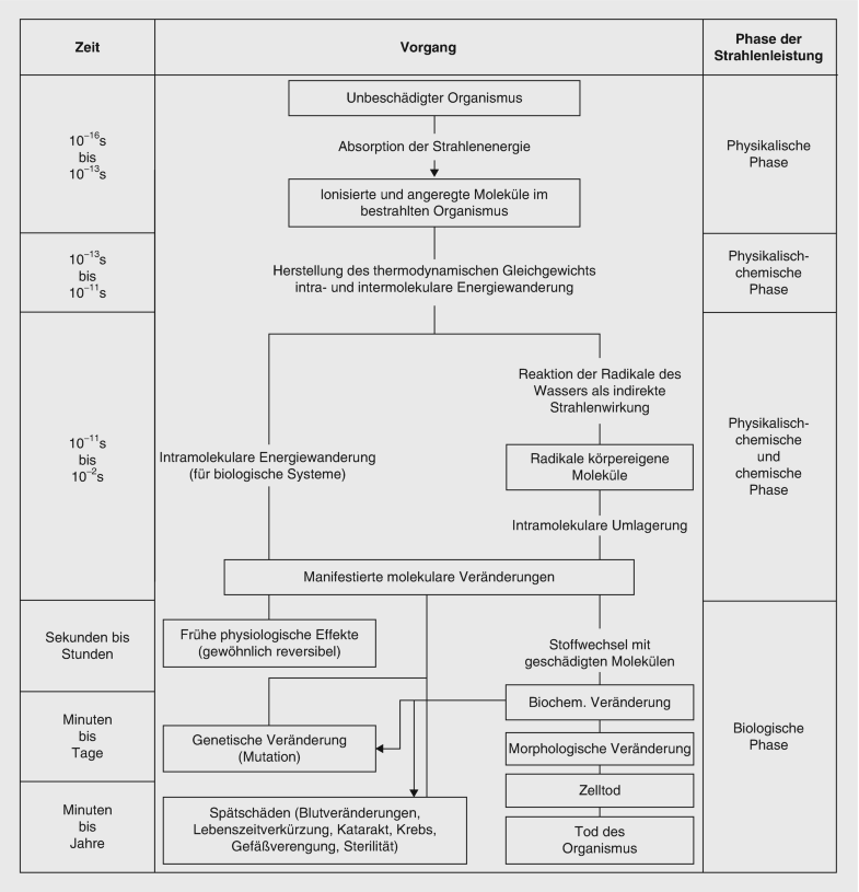 Arbeitsumgebung Springerlink