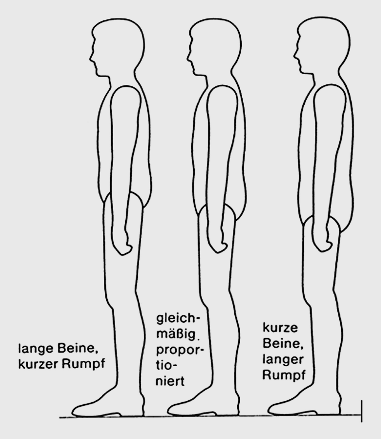 Oberkörper verhältnis mann beine Unterkörper anders