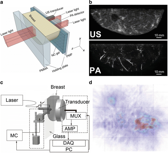 Photoacoustic Imaging Tools For Nanomedicine Springerlink Photoacoustic Imaging Tools For Nanomedicine Springerlink