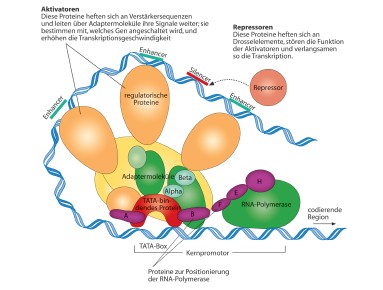 Weiter zu leiten zusammen oder getrennt