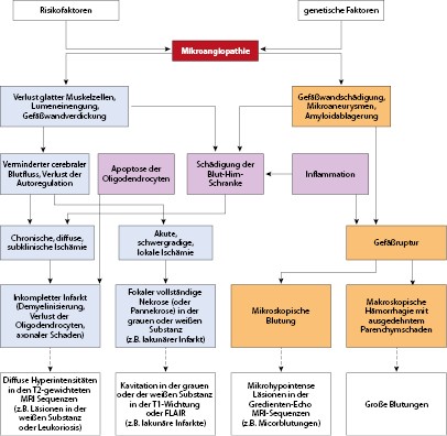 Vaskuläre Erkrankungen | SpringerLink