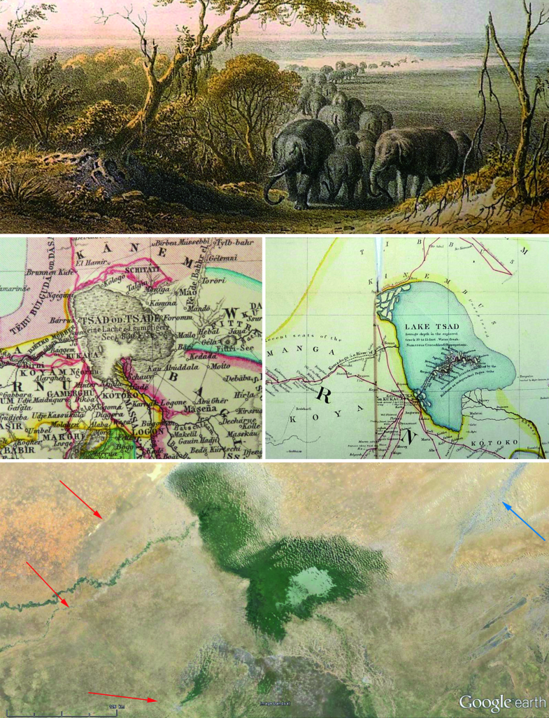 Regionale Beschreibung – Afrika und Madagascar | SpringerLink
