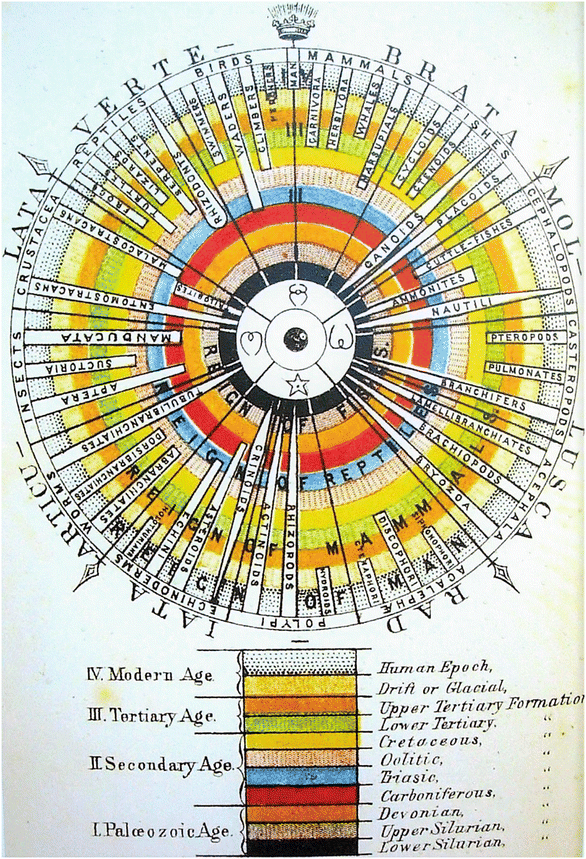 Die Wissenschaftliche Botanik“ im 19. und frühen 20. Jahrhundert |  SpringerLink