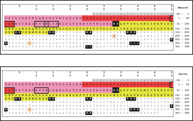 Protein Und Peptid Hormone Von Vertebraten Springerlink