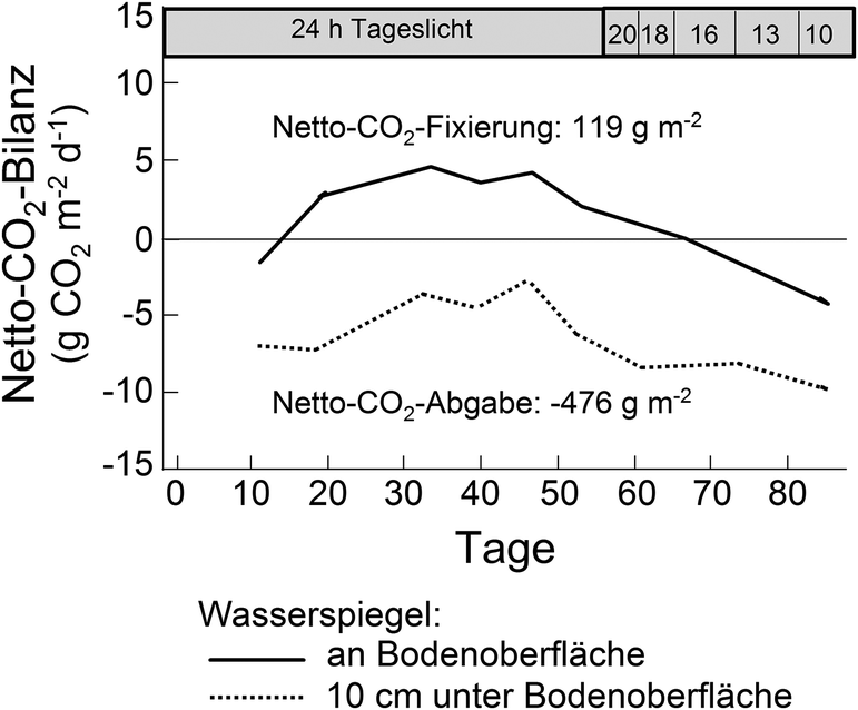Tundren Und Polare Wusten Springerlink