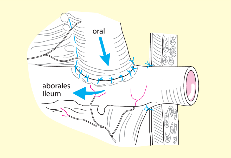 Ausgiebige Oralspiele eines jungen Paares Ausgiebige Oralspiele eines jungen Paares