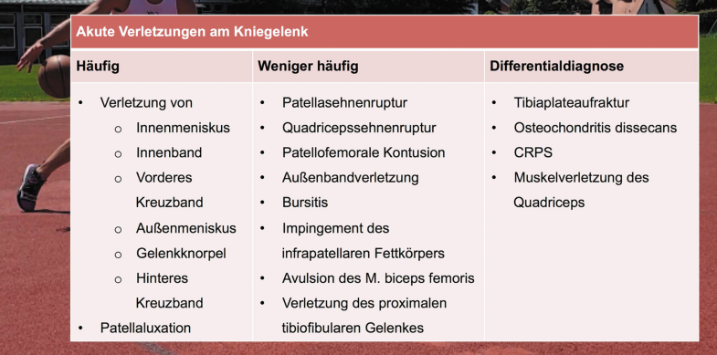 Kniegelenk Springerlink