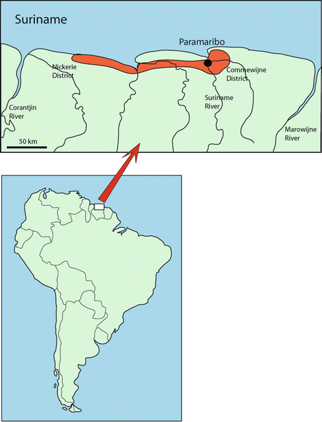 schistosomiasis epidemiológia