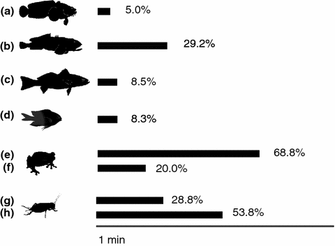 Fish Sounds and Mate Choice | SpringerLink