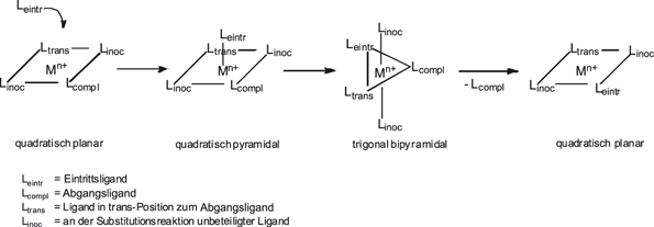 Grundlagen Springerlink