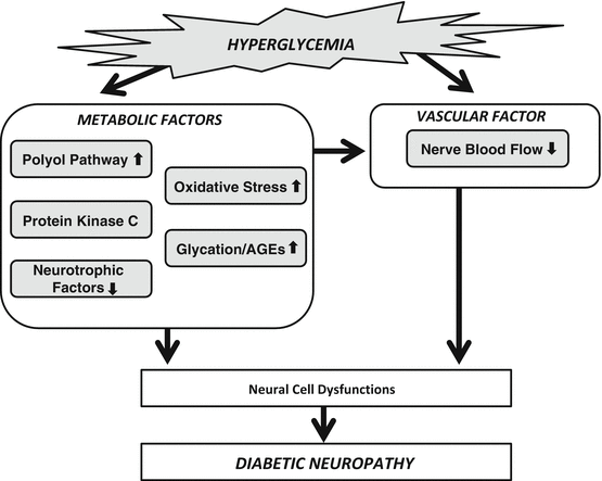 diabetic polyneuropathy pathophysiology)