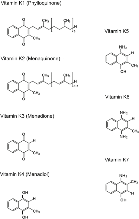 Vitamin K Benefits In Aging And Cancer Springerlink