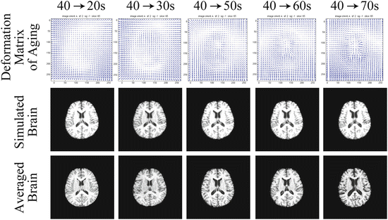 ferrucci staınless steel case back