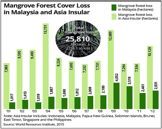 An Insight into the Management of Larut Matang Mangrove Forest