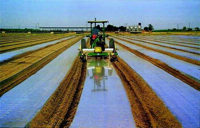 pic Solarisation In Agriculture springerlink
