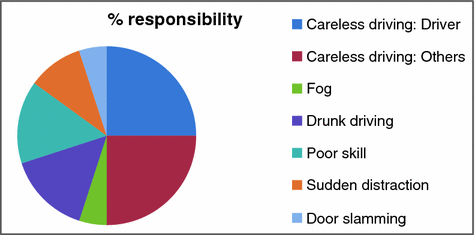 Responsibility Pie Chart Cbt