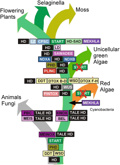 Advances And Challenges In Genetic Engineering Of Microalgae Fajardo 2020 Reviews In Aquaculture Wiley Online Library