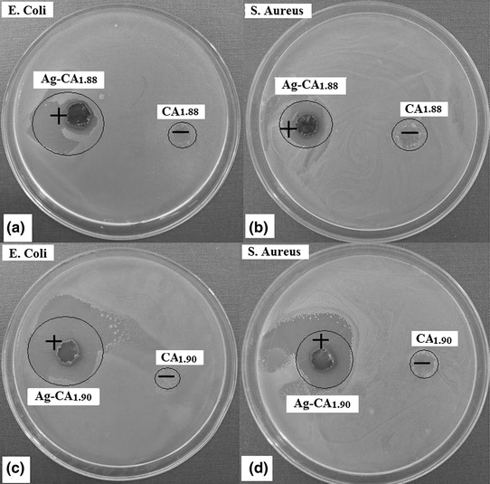 Cellulose Acetate Nanocomposites With Antimicrobial Properties