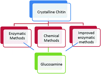 and N-Acetyl D-Glucosamine: Their Use as Medicine |