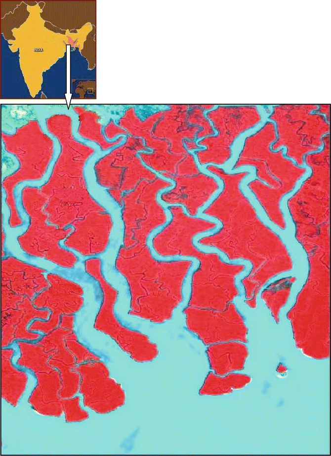 Fig. 4D.1