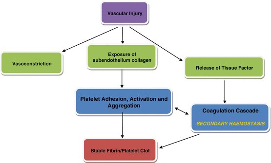 Bleeding And Coagulation Disorders | Springerlink Bleeding And Coagulation Disorders | Springerlink