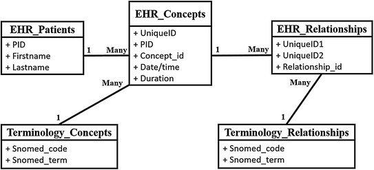 Dating relation terminologi