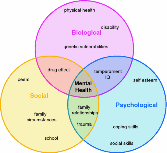 Role Of Psychosocial Factors In The Management Of Health - 