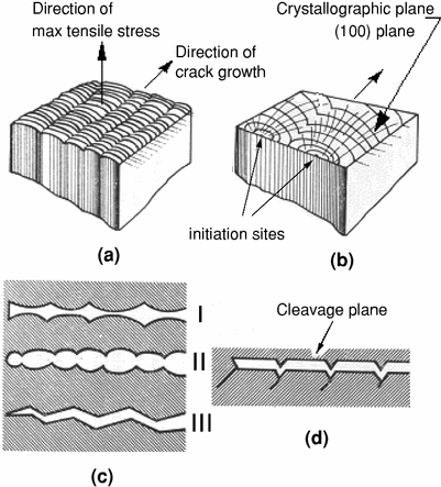 Morphological Aspects of Fatigue Crack Formation and Growth | SpringerLink