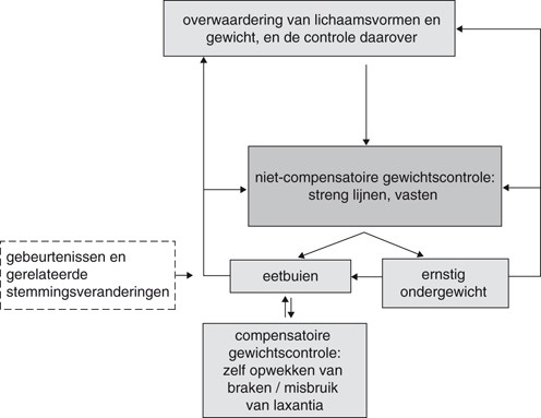 13 Cognitieve Therapie Bij Eetstoornissen En Obesitas Springerlink