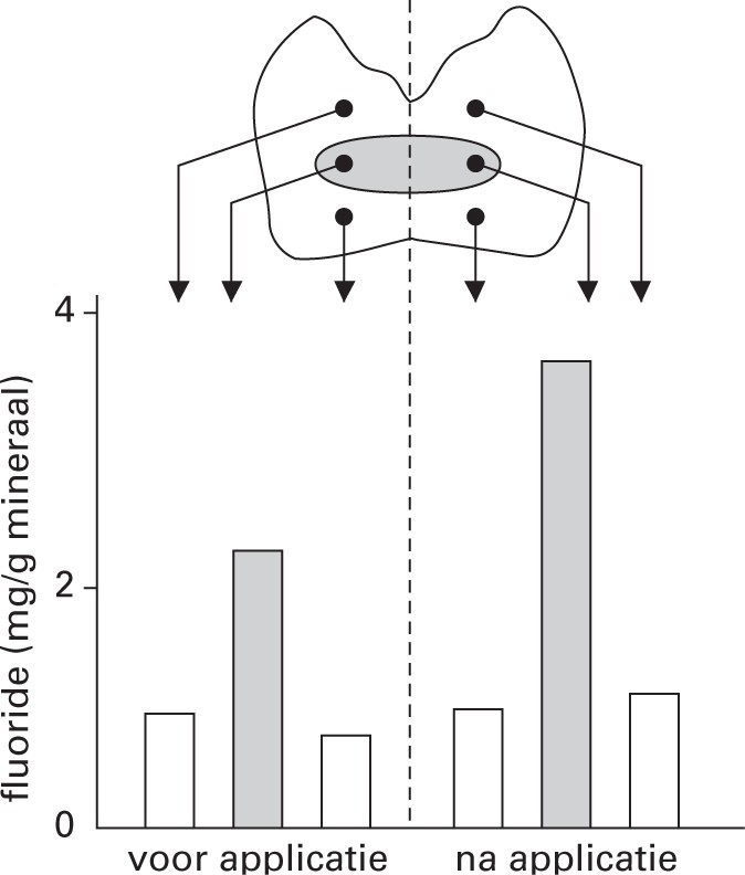 Fluoride Springerlink