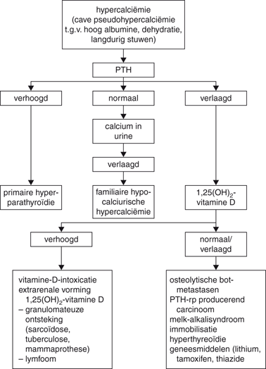 Endocrinologie | SpringerLink