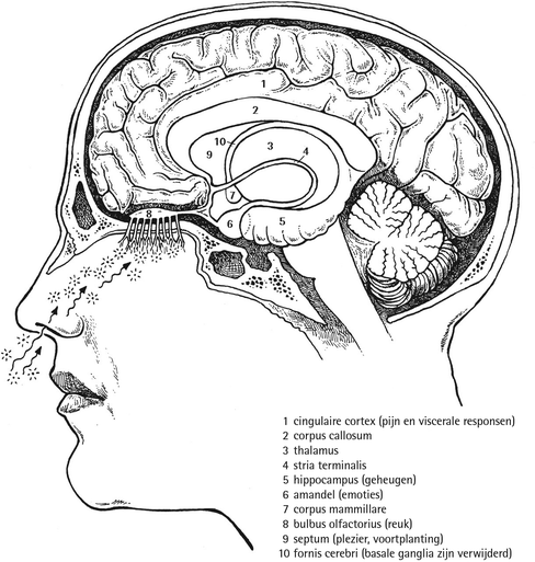 Werken Met Etherische Olien Springerlink