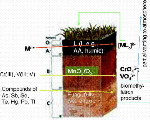 Hydroponique Clay Pebbles milieux de culture Anion Clay Rocks Pour Hydroponique plantation