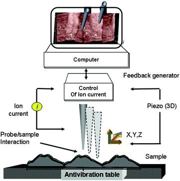 Scanning Ion Conductance Microscopy For Imaging And Mechanosensitive Activation Of Selected Areas Of Live Cells Springerlink