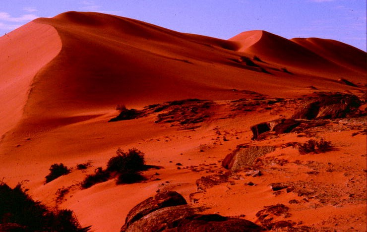 Namib Sand Sea Large Dunes In An Ancient Desert Springerlink - 